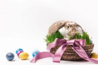 Ouvert ou fermé en Estrie pendant le congé de Pâques